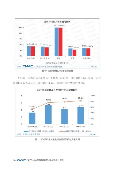 网络与信息安全软件开发 中国互联网络发展的坚实保障——基于CNNIC第53次统计报告的解读